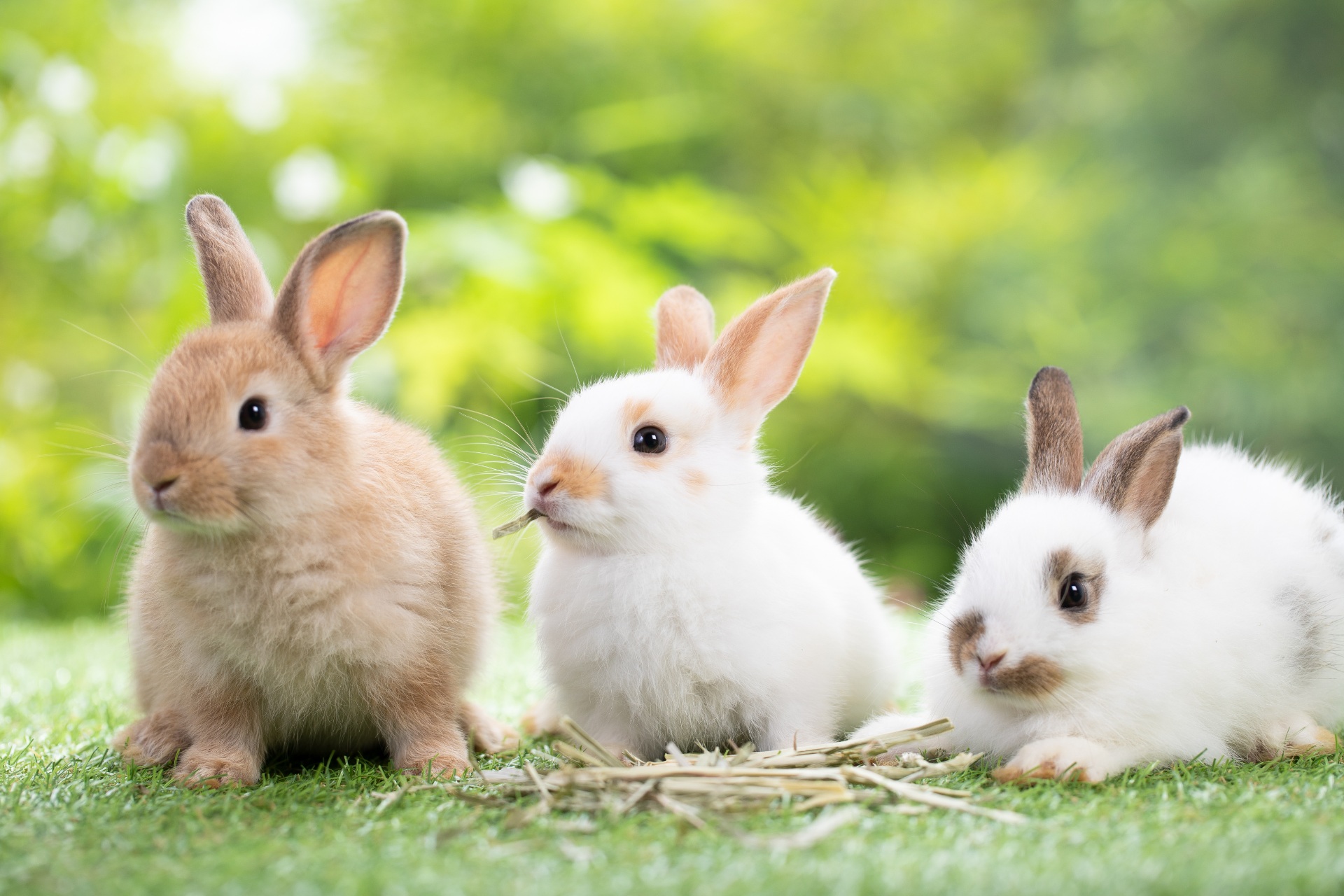 東松山市